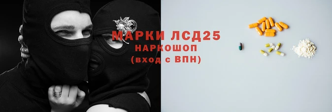 PSILOCYBIN Струнино