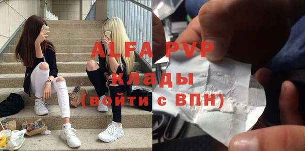 PSILOCYBIN Струнино