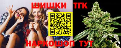 хмурый Бийск