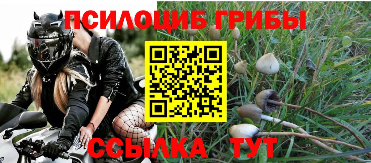 Галлюциногенные грибы Cubensis  Вход с VPN  Елец 
