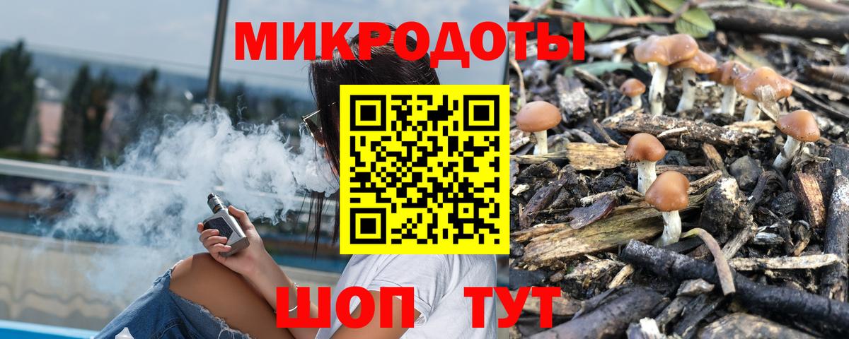ГАШ Елец
