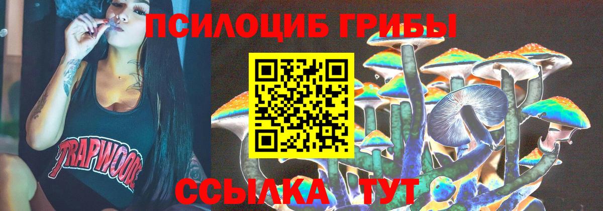 Галлюциногенные грибы Cubensis  Псилоцибиновые грибы Cubensis  Елец 