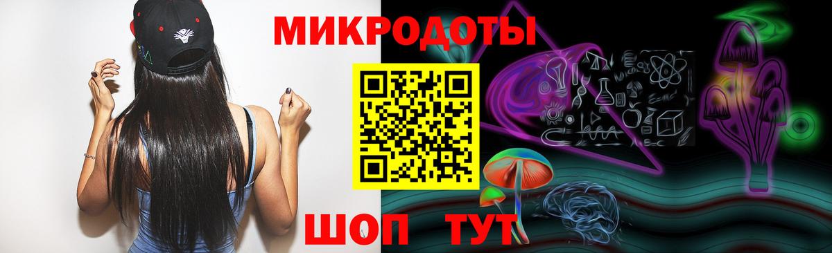 Псилоцибиновые грибы Psilocybe Елец