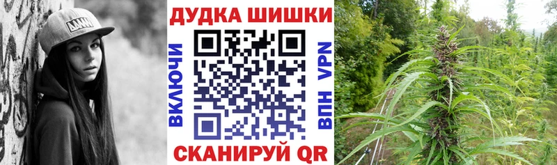 продажа наркотиков  Елец  мега как зайти  Бошки марихуана гибрид 